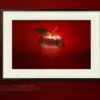 Sameh Zain_GRAVITY_Mart Gallery_001 Gravity