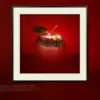 Sameh Zain_GRAVITY_Mart Gallery_001_R Gravity